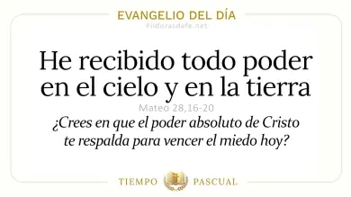 Evangelio de hoy Domingo 17 de Mayo 2026: Mateo 28,16-20